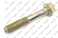 Болт с эксцентриком TG-55080-AG00E * TIGUAR